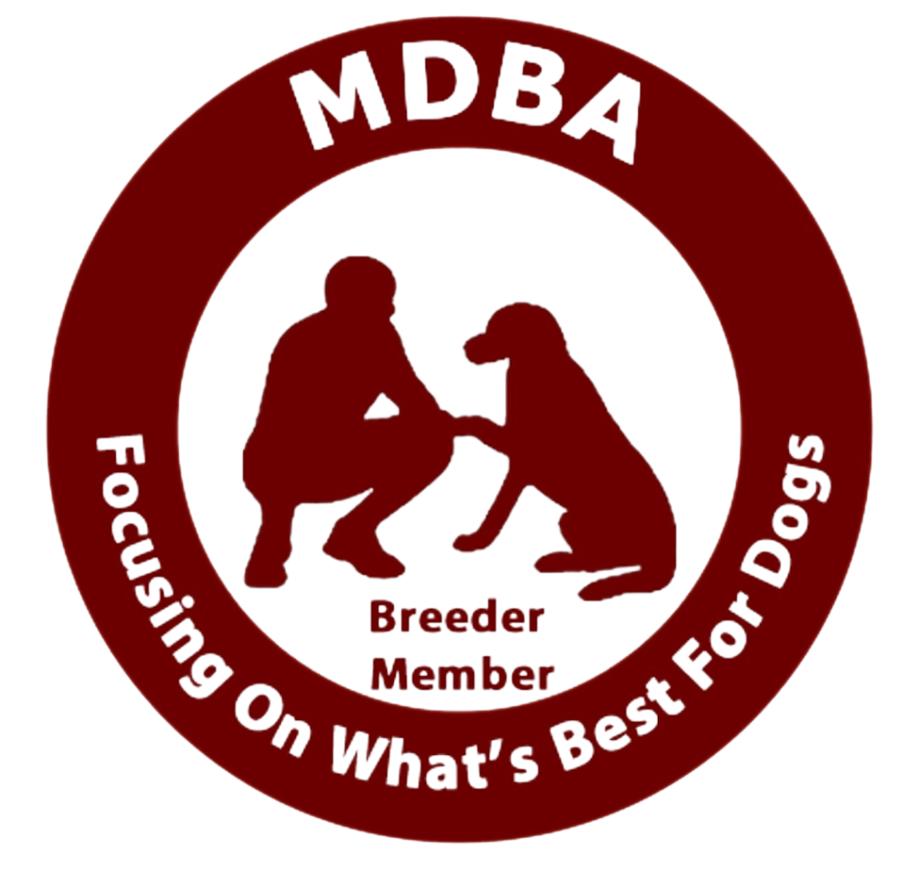 mdba registered breeders
