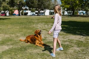 dog parks in australia