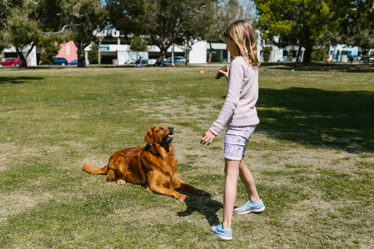 dog parks in australia